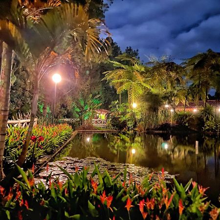 Finca Turistica De Alojamiento Rural Avalon Jardín Dış mekan fotoğraf