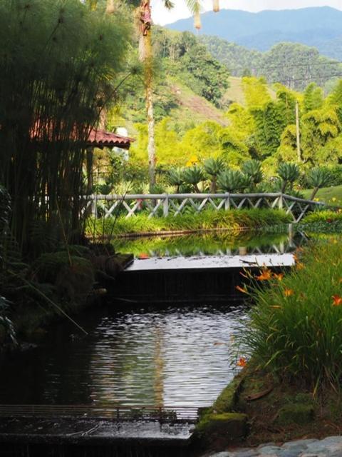 Finca Turistica De Alojamiento Rural Avalon Jardín Dış mekan fotoğraf